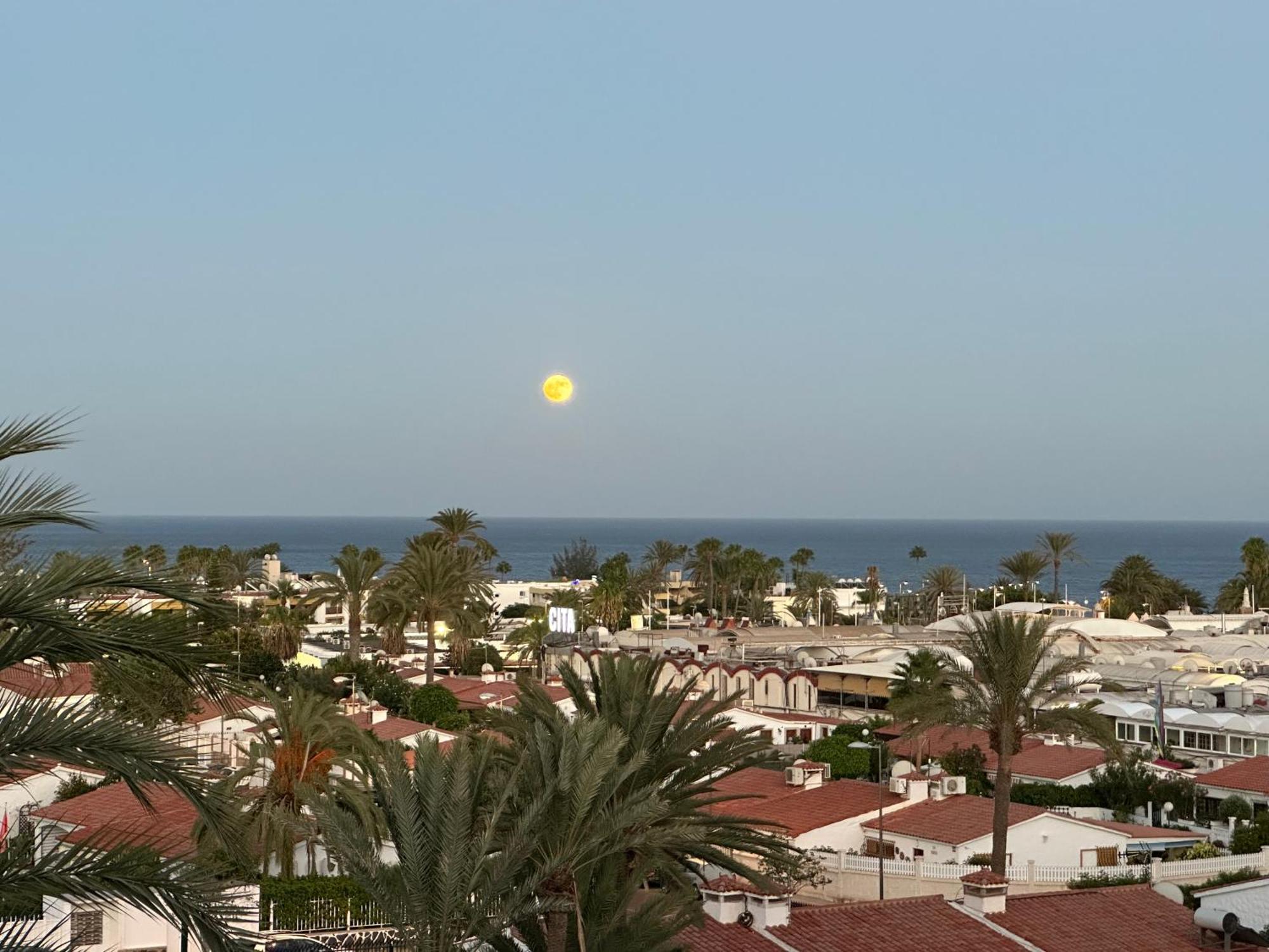 Apartamento Tamaran Sky Playa del Inglés Eksteriør billede